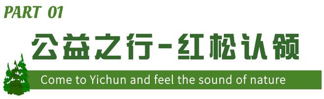 2024伊春亲子夏令营灵芝采摘+红松认领+药膳香囊+森林漂流+森林骑士+寻蜜之旅(图2)
