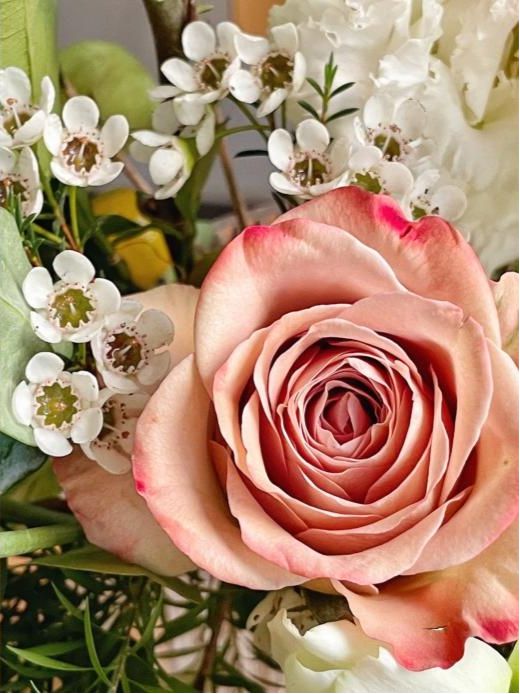 惠东开放大学2024年秋季学期老年教育招生简章(图3)