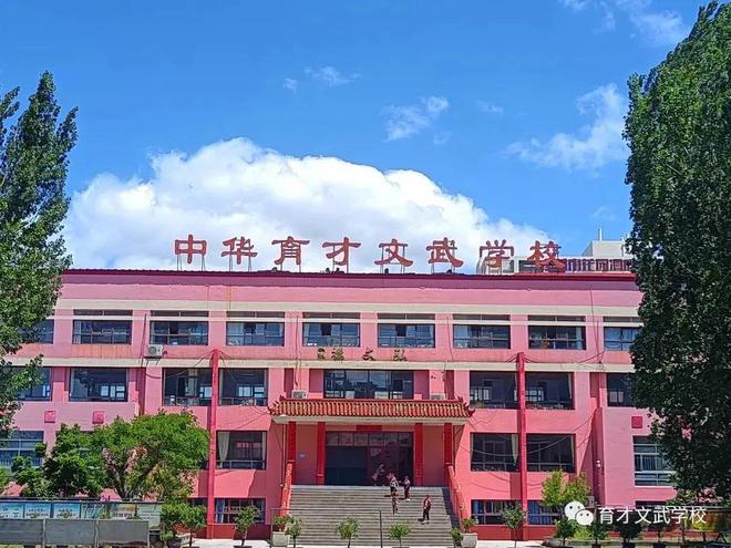 2024青岛武术夏令营震撼来袭：让孩子们都勇敢成长、智慧绽放！(图9)