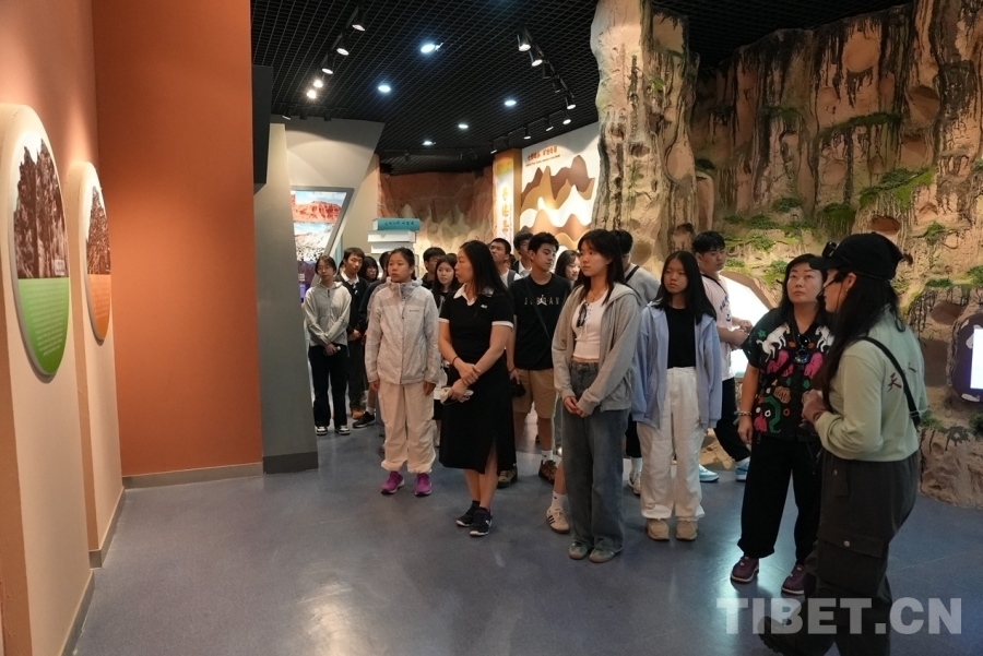 【澳门青年探“两路”】2024青海研学夏令营结营(图2)