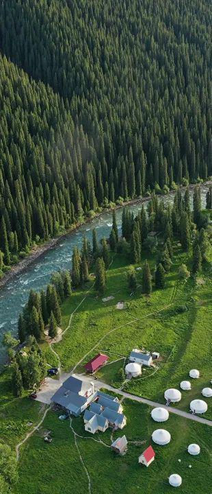 2024暑期“提高专注力提升学习力”训练营