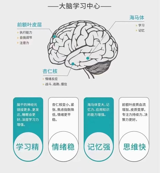 2024暑期“提高专注力提升学习力”训练营(图4)