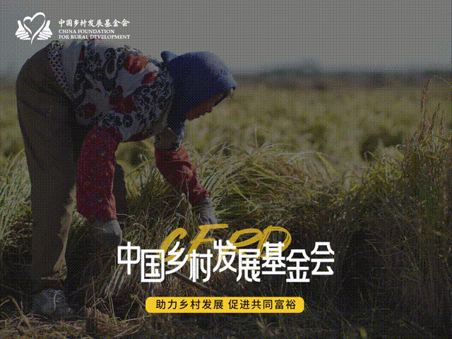 大手牵小手·科学益起走——九坤暖阳科学启航项目2024小小家公益夏令营顺利举办(图4)
