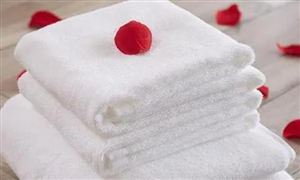 2024教育培训行业发展前景趋势：创新产教融合发展模式成必然(图3)