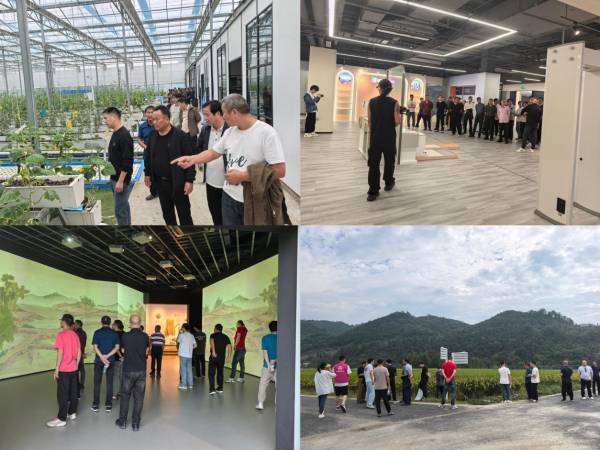 东湖街道组织举办2024年高素质农民教育培训提升现代“新农人”生产管理水平(图2)