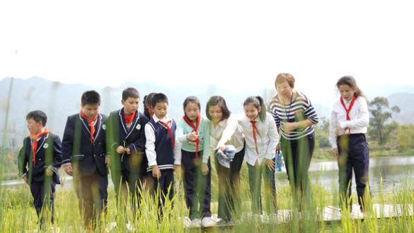 2024梁平师者风范丨杨君玲：一个会“魔法”的教育人(图4)