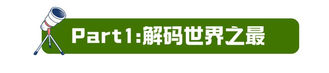 2024贵州亲子夏令营~聆听宇宙脉搏+地心历险+秘境竹筏+大山公益日感受淳朴民风(图4)