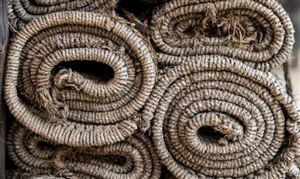 中研网行业资讯_中研普华行业研究网(图15)