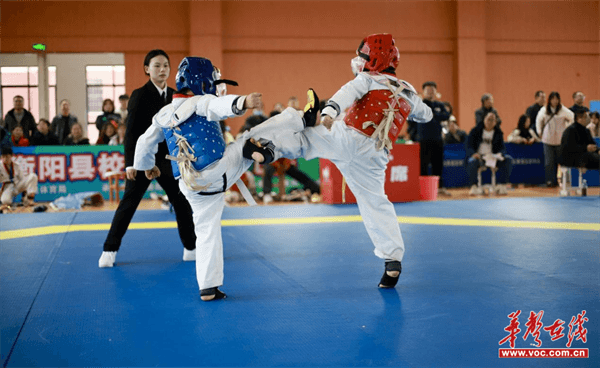 衡阳县举办2024年校园跆拳道比赛(图3)