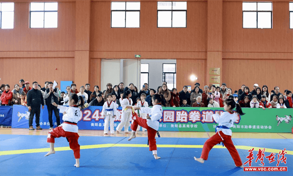 衡阳县举办2024年校园跆拳道比赛(图2)