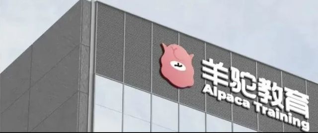 2024亚洲PTE合作伙伴峰会在中国长沙举办羊驼教育PTE荣获钻石级合作伙伴关系”称号(图7)