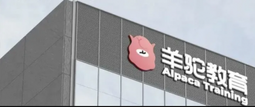 羊驼教育荣获2024年度科技创新影响力教育品牌(图5)