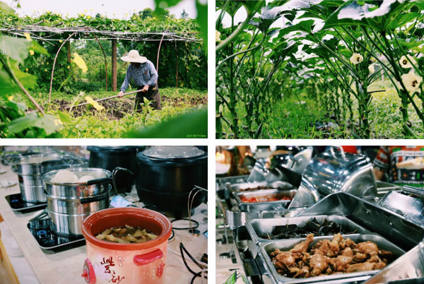 「江苏军事」2024苏州安住塑造好习惯夏令营（7天）塑造品性终身受益(图12)