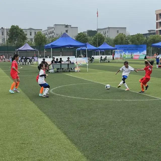 绍兴市柯桥区浙光小学2024年度工作回望(图6)