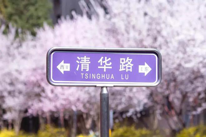 北京大学2024年优秀中学生寒假学堂报名通知清北冬令营解读及作用分析(图6)