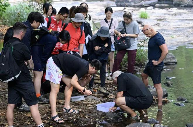 广东地区名校招生｜深国交2025年入学考试报名正式开启(图5)