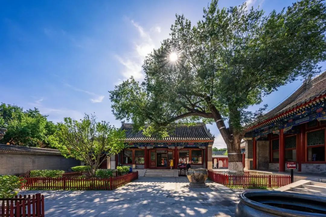 我呼和浩特新城区一个被历史吻过额头的六边形战士(图10)