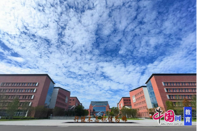 凝聚新力量奋进新征程成都体育学院举办2024年新进教师专题培训(图7)