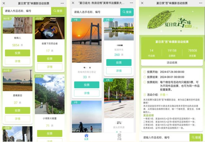 2025暑期主题热门投票评选活动精选悠享夏日(图2)