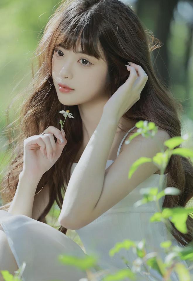 东亚西欧北美一区(图1)