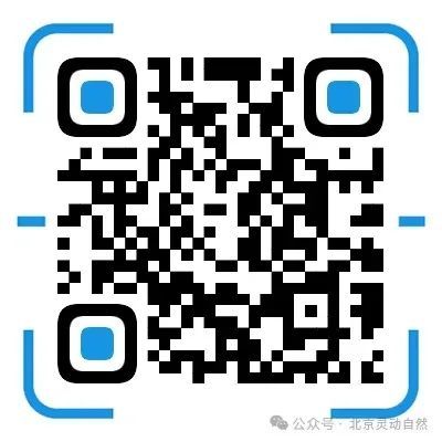 北京暑期招募2025中韩生态桌游指导师培训开始啦！(图4)