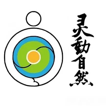北京暑期招募2025中韩生态桌游指导师培训开始啦！(图13)