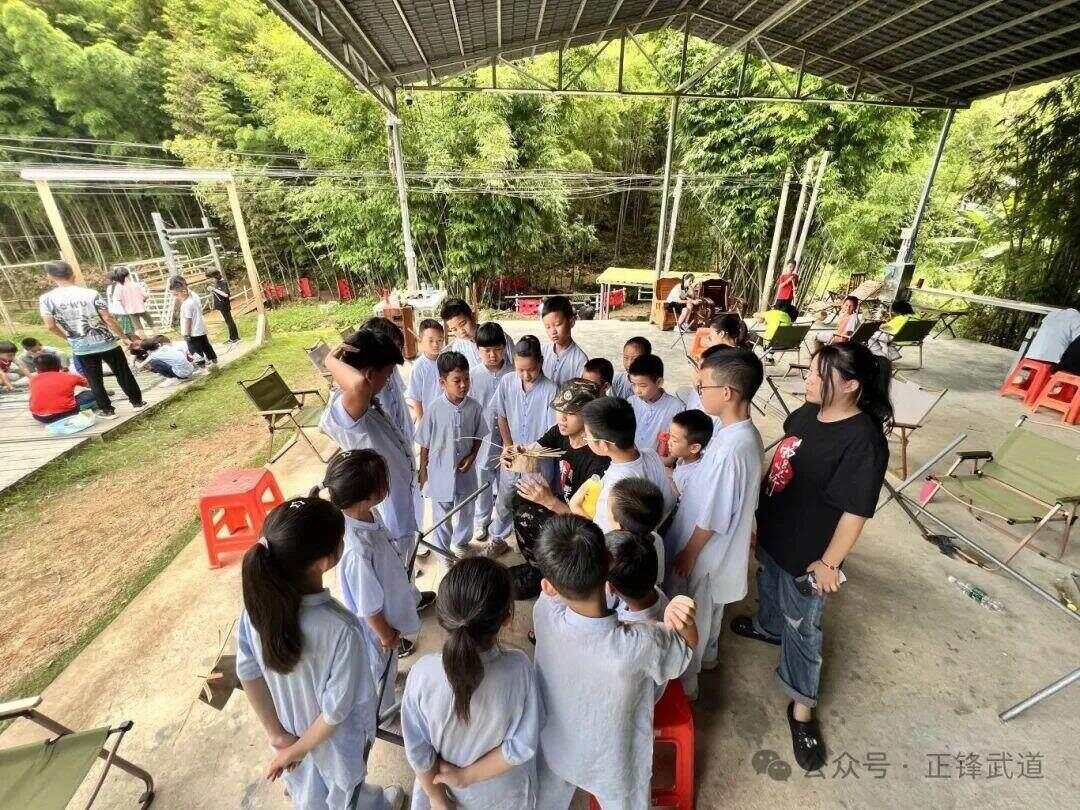 2025“城乡少年”夏令营招募啦(图2)