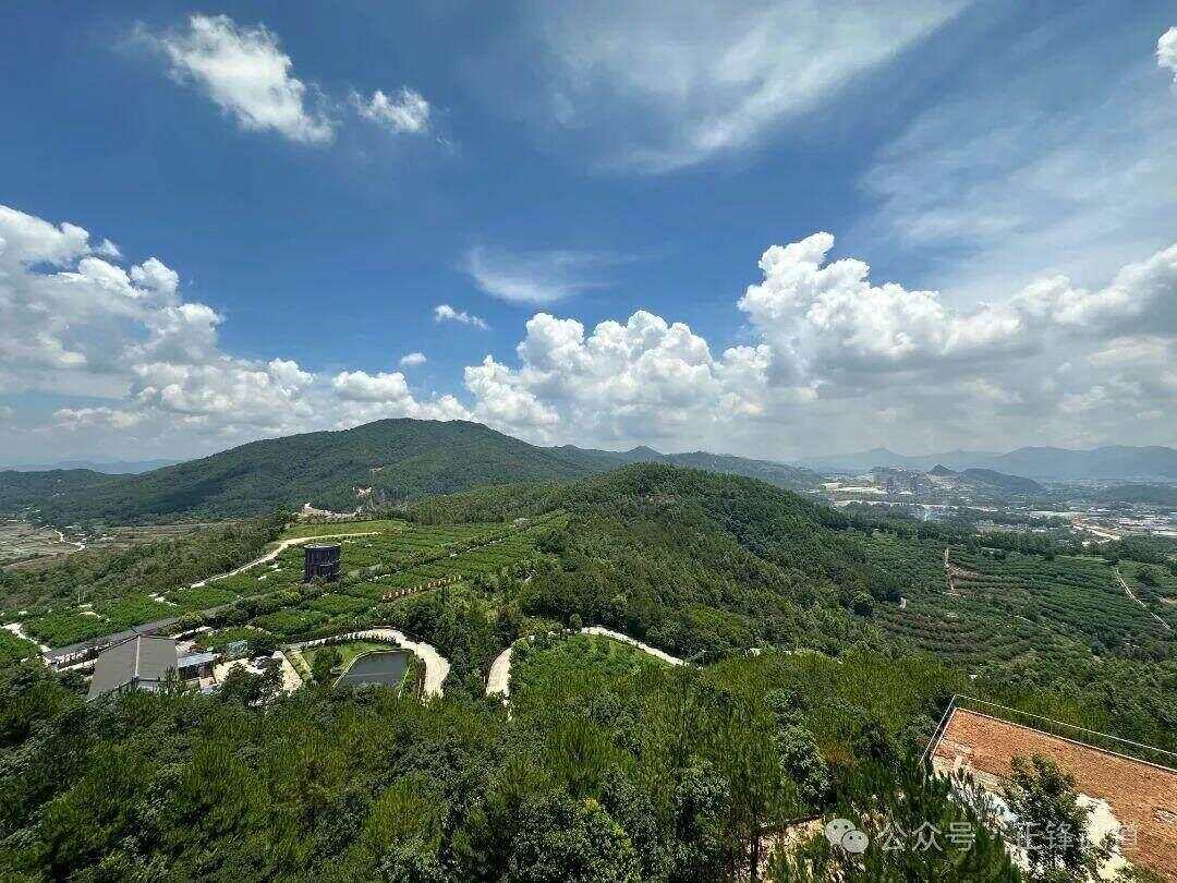 2025“城乡少年”夏令营招募啦(图7)