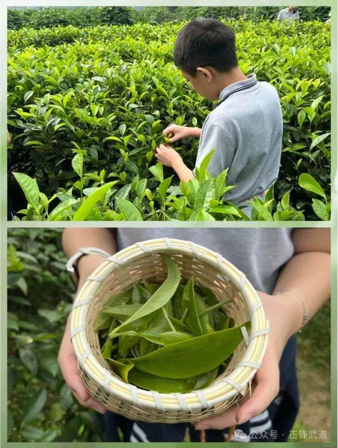 2025“城乡少年”夏令营招募啦(图9)