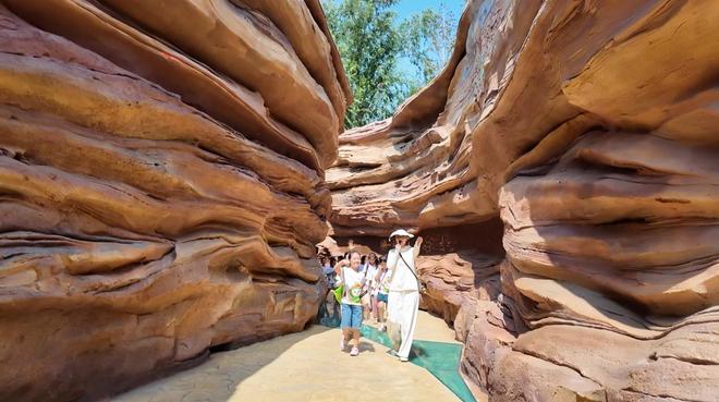 小青豆夏令营圆满落幕！青特二十年深耕社区服务绘就人文温度新画卷(图2)