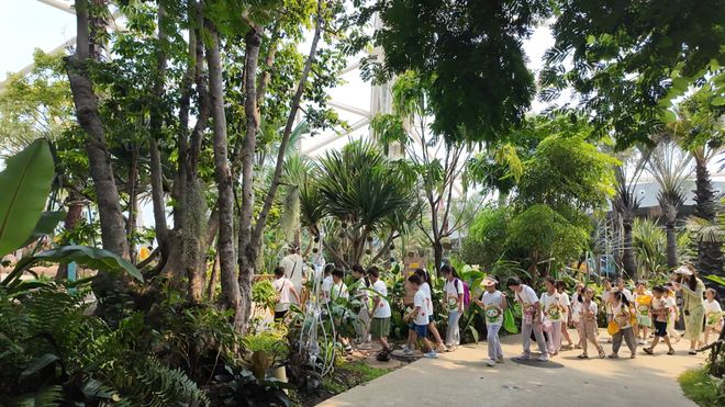 小青豆夏令营圆满落幕！青特二十年深耕社区服务绘就人文温度新画卷(图6)