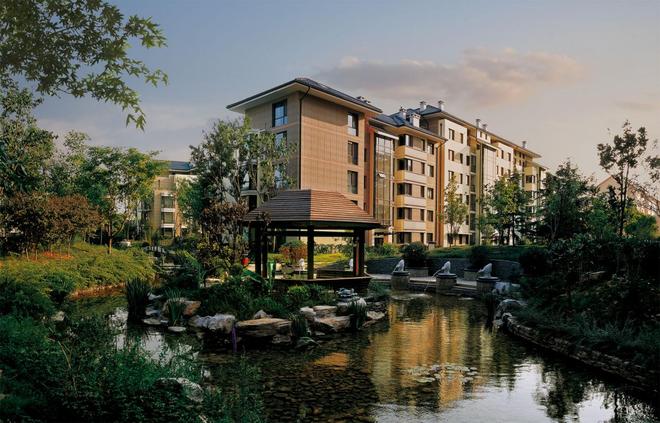 小青豆夏令营圆满落幕！青特二十年深耕社区服务绘就人文温度新画卷(图11)