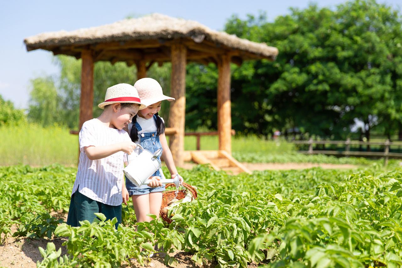 科技游火爆亲子游遇冷今年暑期研学市场“冰火两重天”(图4)