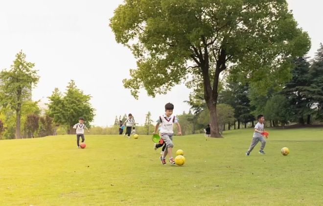 动荡中的体育教培想抓住「上门体育」这根救命稻草(图8)