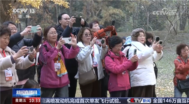 从地方实践到国家级媒体关注——兴趣岛的兴趣学习模式究竟触动了哪些政策与社会痛点？(图3)