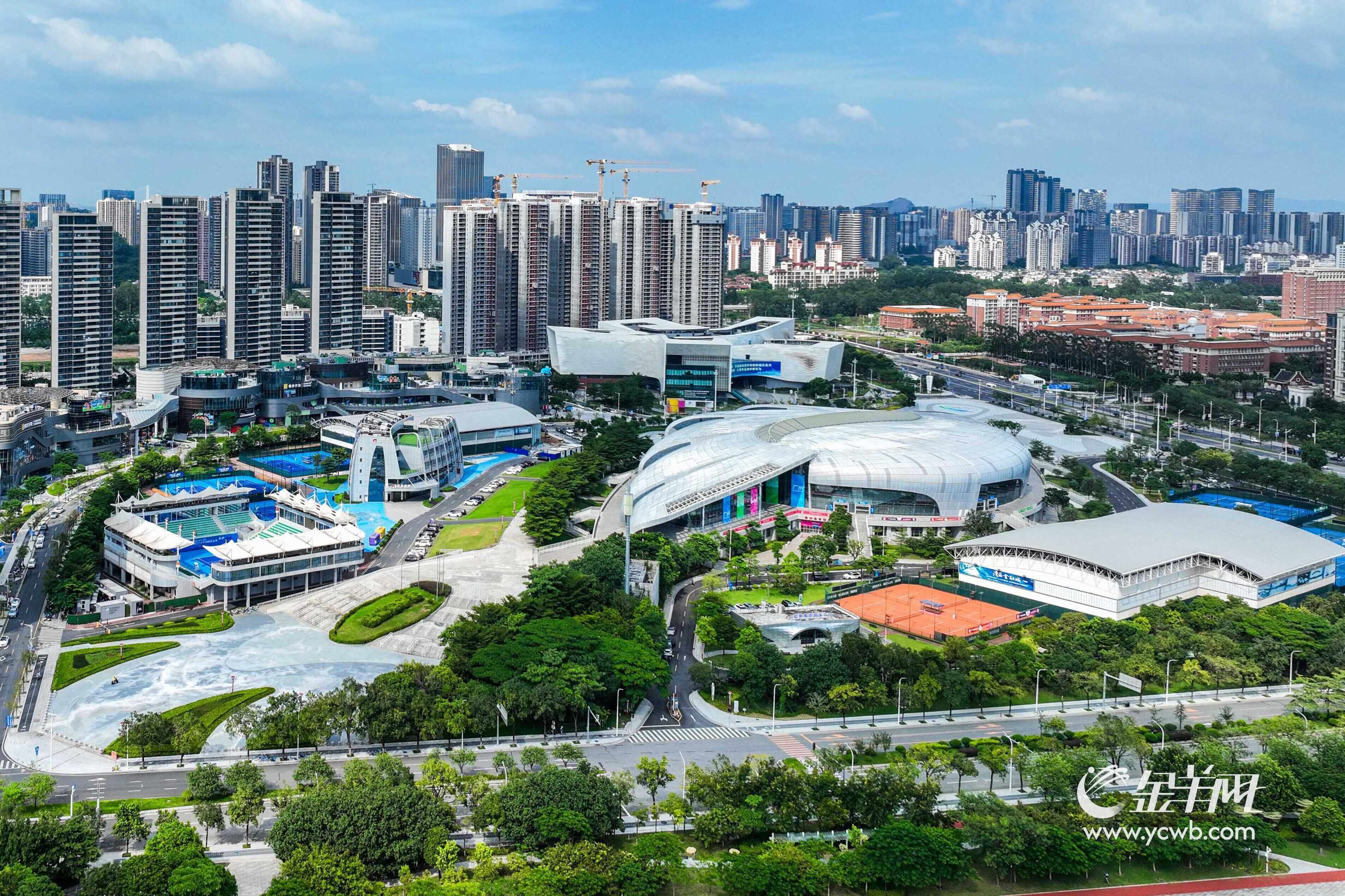 广州南沙“无围墙式”体教融合模式铸就冠军摇篮