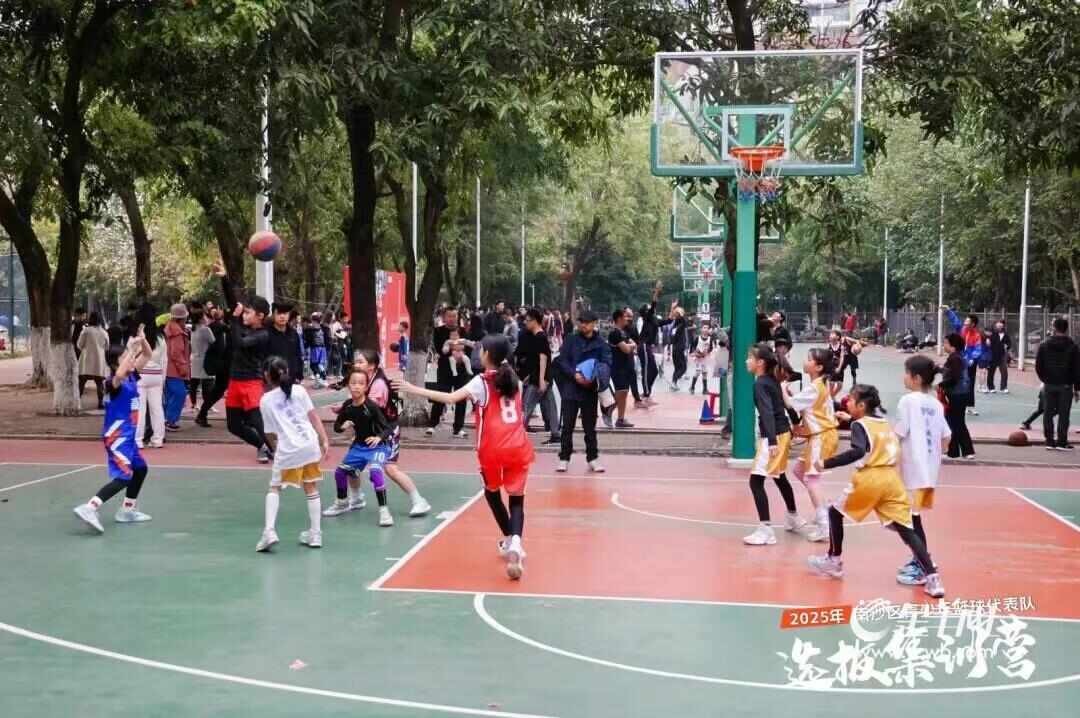 广州南沙“无围墙式”体教融合模式铸就冠军摇篮(图11)