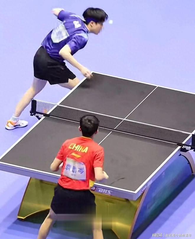 北大撑腰！王楚钦两输樊振东还被表扬邓亚萍揭秘水平藏不住了(图8)