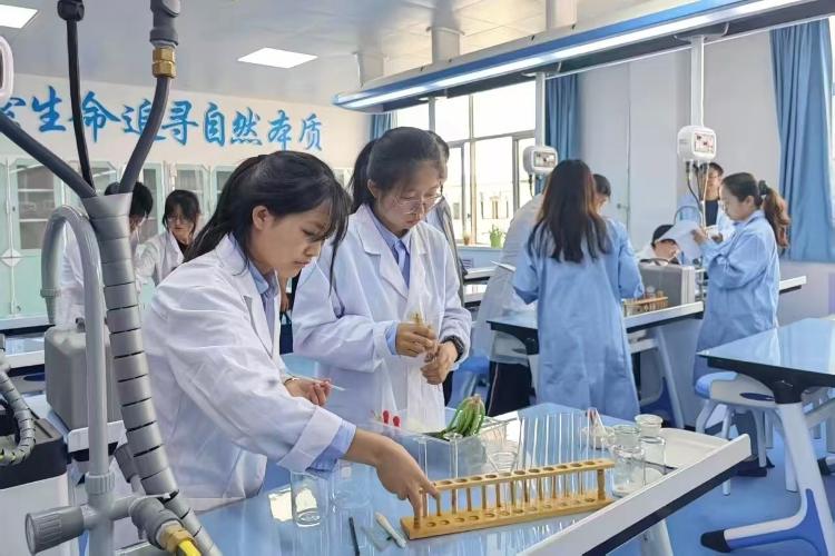 教育帮扶“三部曲”济南如何为临夏打造一支“带不走”的教师队伍？(图3)