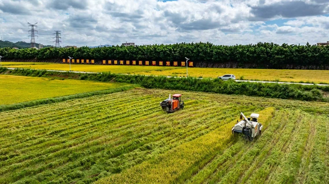 南安官桥镇：党建引领“握指成拳”“跨村联建”共促区域协同共富(图2)