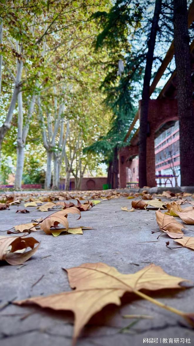 洛阳市东明外语实验学校：多元化教育服务引领区域发展(图3)