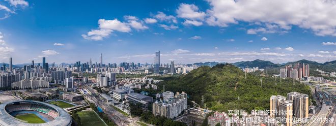 ㊖岁宝壹品售楼处-岁宝壹品网站-楼盘百科-深圳选好房@AI热搜(图14)